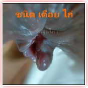 ลักษณะของโรค 1