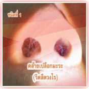 ภาพ 1